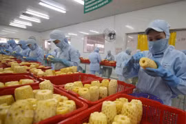 Phê duyệt Đề án phát triển ngành chế biến rau quả giai đoạn 2021-2030
