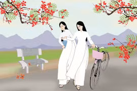 Dưới vòm phượng vĩ