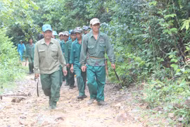 Bổ sung lãnh đạo các ban quản lý rừng phòng hộ ở Gia Lai: Mới giải quyết "phần ngọn"