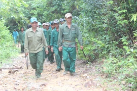 Bổ sung lãnh đạo các ban quản lý rừng phòng hộ ở Gia Lai: Mới giải quyết "phần ngọn"