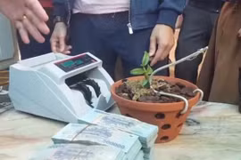 Cán bộ thuế làm việc với người bán 'lan đột biến' trị giá 1,65 tỉ đồng