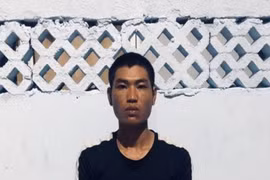 Giả danh nhân viên giao hàng để lừa đảo chiếm đoạt tài sản