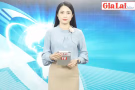 Gia Lai 48h: Giá hồ tiêu đảo chiều giảm mạnh