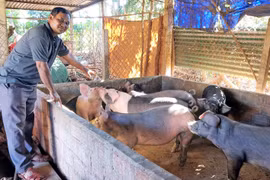 Gương sáng làng Dôr 1