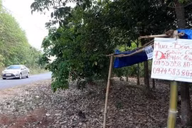 'Sốt đất' từ hiệu ứng đám đông: Lợi dụng thông tin quy hoạch