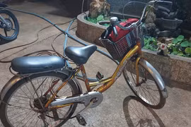 Đi học về qua lô cao su, nữ sinh lớp 6 bị kẻ lạ tấn công đến ngất