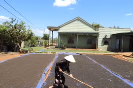 Nông dân Nam Yang thi đua sản xuất, kinh doanh giỏi