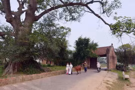 Hình thành sản phẩm đặc trưng để 'người Hà Nội du lịch Hà Nội'