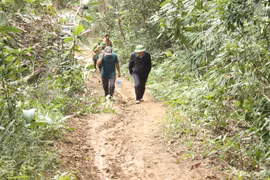 Gia Lai: Số vụ vi phạm Luật Lâm nghiệp giảm