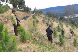 Gia Lai chủ động phòng-chống cháy rừng theo phương châm "4 tại chỗ"