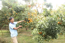 Tạo niềm tin của người tiêu dùng