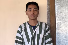 Kbang: Bắt giữ 3 lâm tặc cưa hạ hơn 20 m3 gỗ