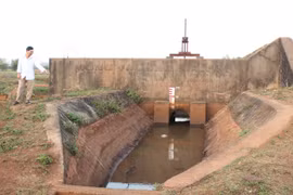 Chư Sê: Nguy cơ hạn cục bộ trên cây trồng