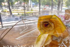 Độc lạ ngày 8.3: Tặng hoa làm bằng... lá