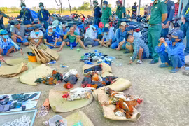 Tiền Giang: Triệt phá trường gà có 6 lớp cảnh giới, thu hơn 200 triệu đồng