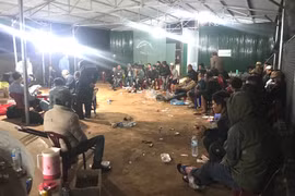 Gia Lai: Đột kích trường gà "khủng", bắt giữ 36 đối tượng