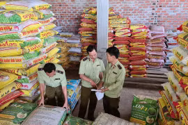 Tạm giữ 3.650 kg phân bón hết hạn sử dụng