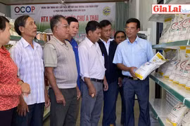 Hợp tác xã nông nghiệp: Đòn bẩy giúp nông dân nâng cao giá trị sản phẩm