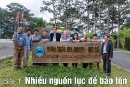 Lâm Đồng nỗ lực bảo tồn đa dạng sinh học (bài 1)