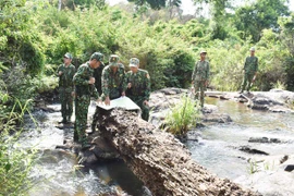 Vững vàng thế trận biên phòng toàn dân