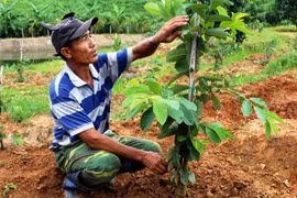 Vượt khó làm giàu