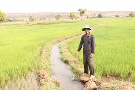 Chư Pưh chủ động phòng-chống hạn vụ Đông Xuân