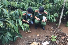 Kết quả điều tra bước đầu vụ thi thể không còn nguyên vẹn trong rẫy cà phê
