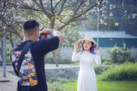 Hoa ban bung nở trên núi rừng Tây Bắc