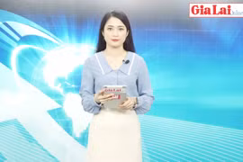 Gia Lai 48h: Đề nghị thu hồi hơn 75 ha đất dự án bị người dân lấn chiếm