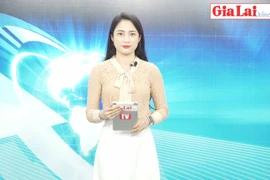 Gia Lai 48h: Chủ động phòng-chống cháy rừng theo phương châm "4 tại chỗ"