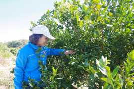 Bắt đất cằn "nở hoa"