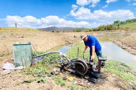 Kông Chro chủ động phòng-chống hạn cho cây trồng