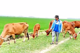 Hồi sinh vùng rốn lũ