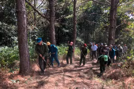 Chư Păh cấp bách phòng-chống cháy rừng