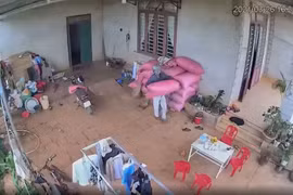 Nghi phạm trộm tiêu ra đầu thú tại Công an xã