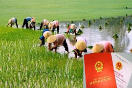 Cách tính chi phí chuyển đất 50 năm sang đất ở?