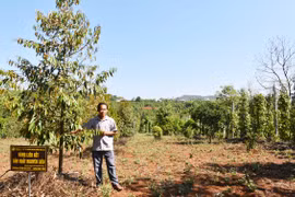 Chư Păh hỗ trợ hợp tác xã xây dựng chuỗi liên kết tiêu thụ nông sản