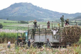 Kbang phấn đấu thành huyện nông thôn mới