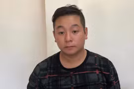 Vụ cưa hạ hơn 20 m3 gỗ mít nài ở Kbang: Thêm 1 đối tượng ra đầu thú