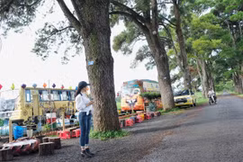 Địa chỉ ẩm thực và điểm vui chơi không thể bỏ qua ở Phố núi