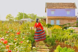 Cho thuê trang phục du lịch ở Pleiku: Thị trường nhiều tiềm năng