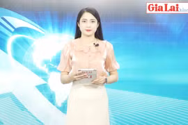 Gia Lai 48h: Triển khai các biện pháp cấp bách phòng cháy, chữa cháy rừng