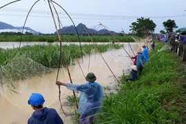 Vợ lao vào cứu chồng bị điện giật, cả 2 cùng tử vong