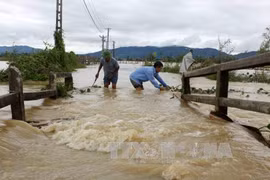 Nghệ An có 8 người chết và mất tích do mưa lũ