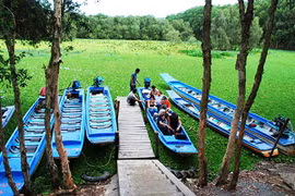 Vẻ đẹp ngỡ ngàng của rừng tràm miền sông nước khiến du khách nao lòng khi ghé đến