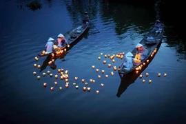 Những bức ảnh đẹp của nhiếp ảnh gia Việt trên National Geographic