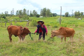 Chị Xu "hai giỏi"