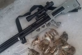 Nam thanh niên dùng súng hơi bắn chim nhưng lại trúng đầu bé trai 10 tuổi