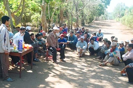 Gia Lai: Triển khai thi hành Luật Trợ giúp pháp lý