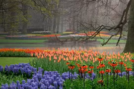 Những "lá phổi xanh" đẹp như thiên đường giữa lòng thành phố